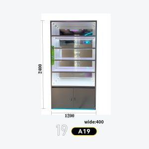5-tier single-door LED cabinet with mirror back panel + LED strips, lower storage, modern minimalist Model A-19